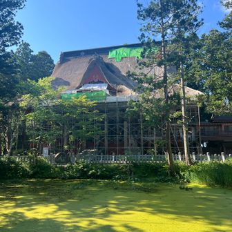 ドーン✨
池は緑色に。