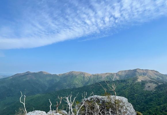 白髪山　大苗 白髪山（高知・1770m）| 登山ルート・天気 | YAMAP / ヤマップ