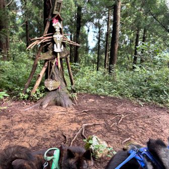 山頂の雰囲気0
景色なし