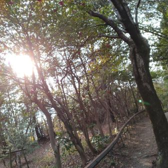 げざーーーん！