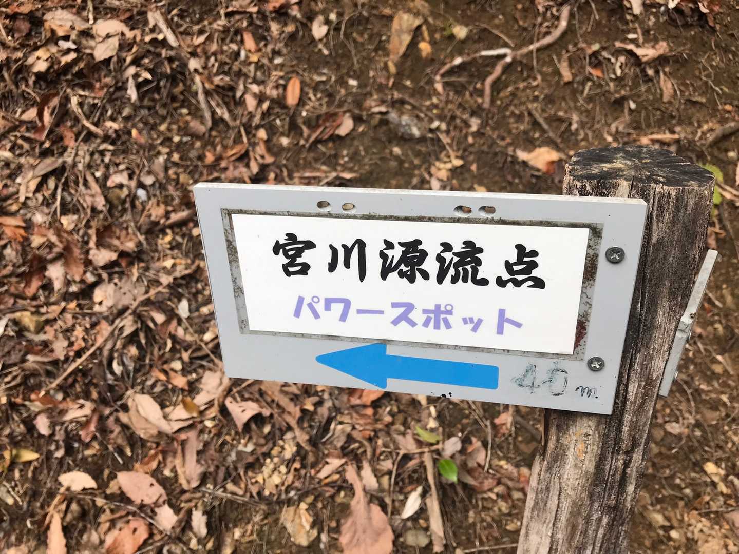 天王山-白山-誕生山 往復コースの写真