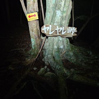 有名なヤレヤレ峠
