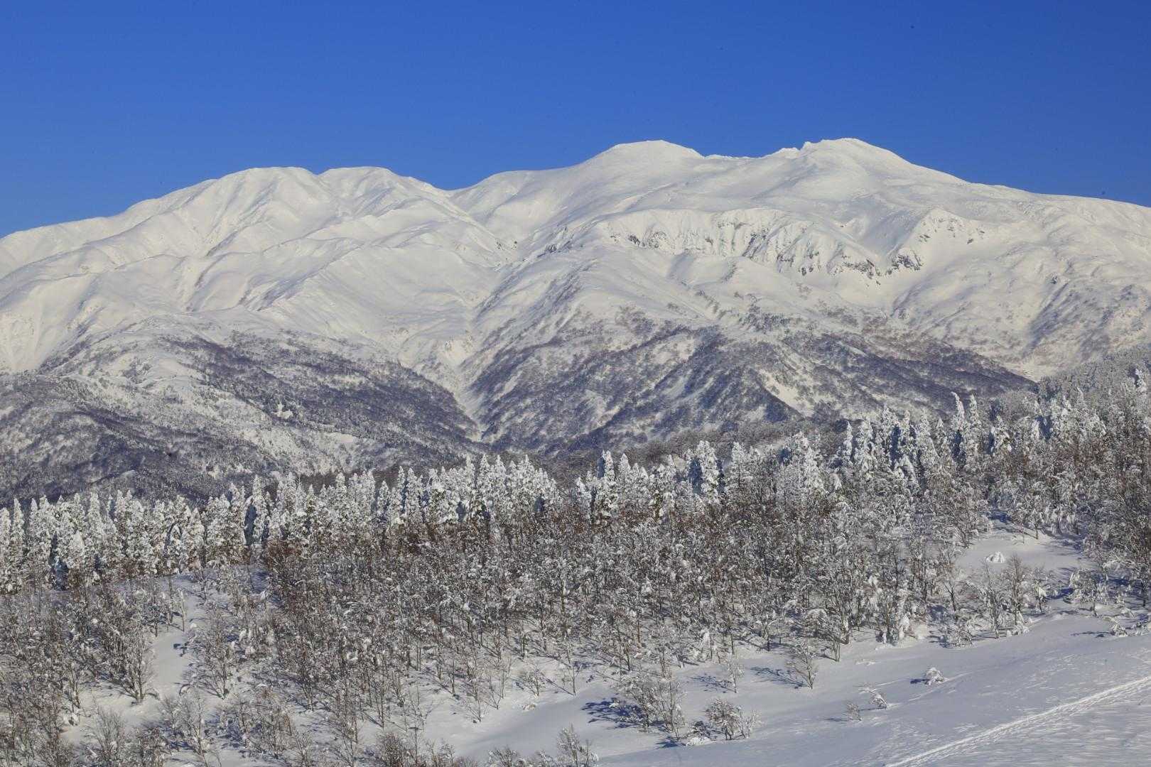 取立山 往復コースの写真
