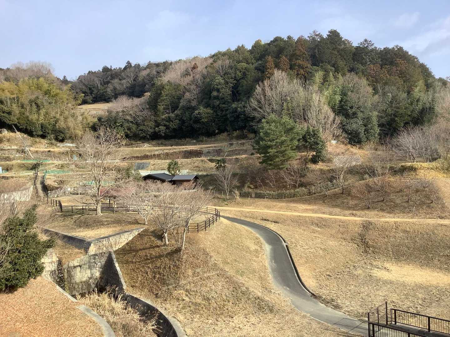 里山の風景を見ながら、テクテクと歩いています^ ^
