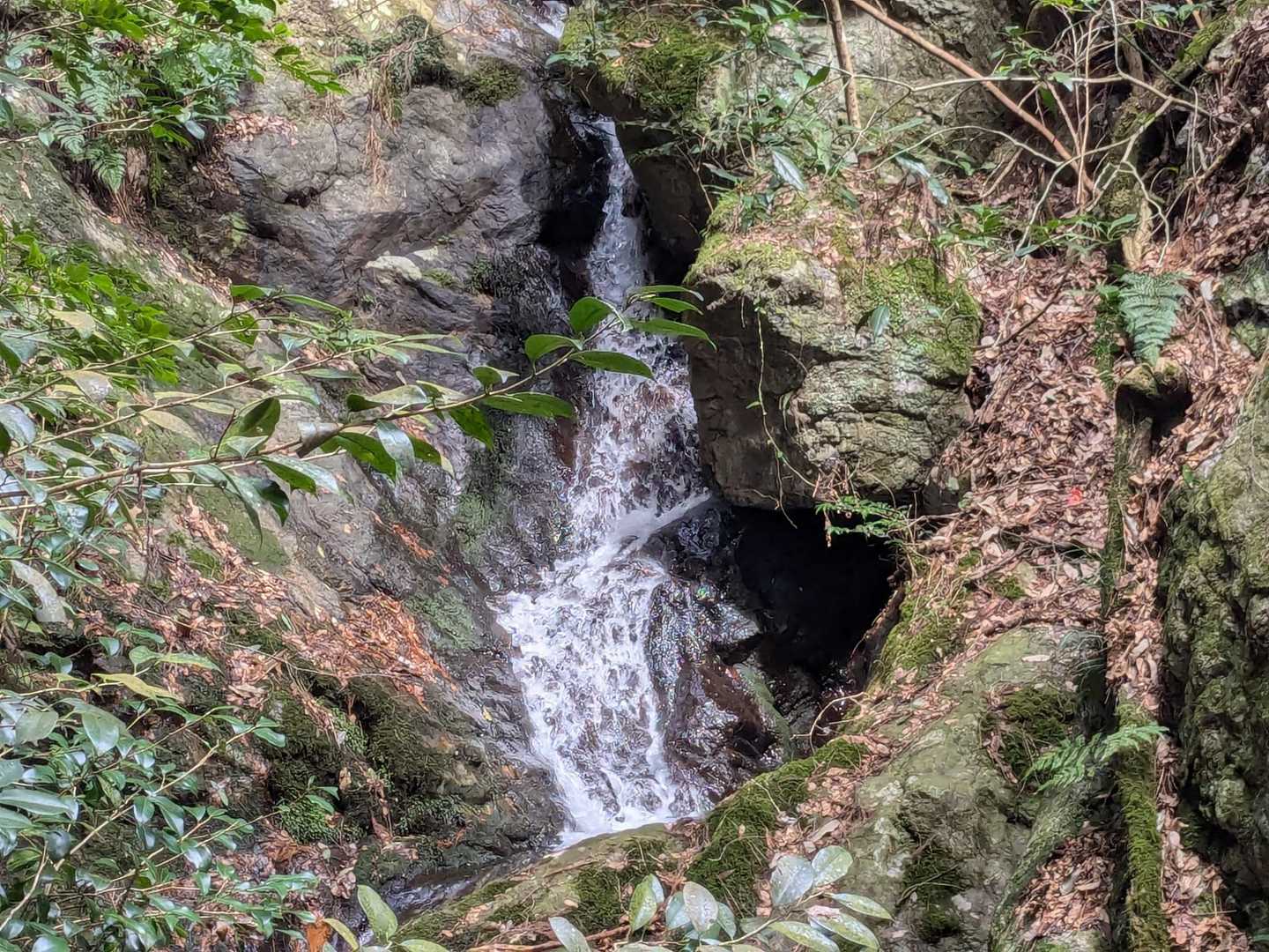が、いきなりこんな風景に心洗われる✨