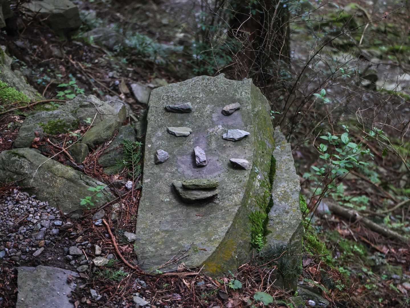 赤星山-豊受山 周回コースの写真