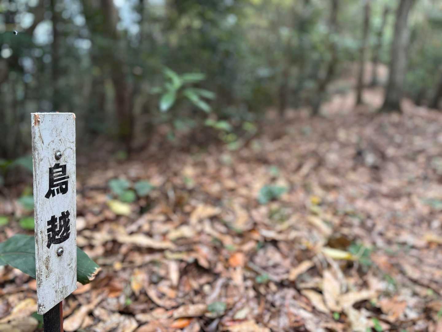 鳥越🦆
ここから急登になる