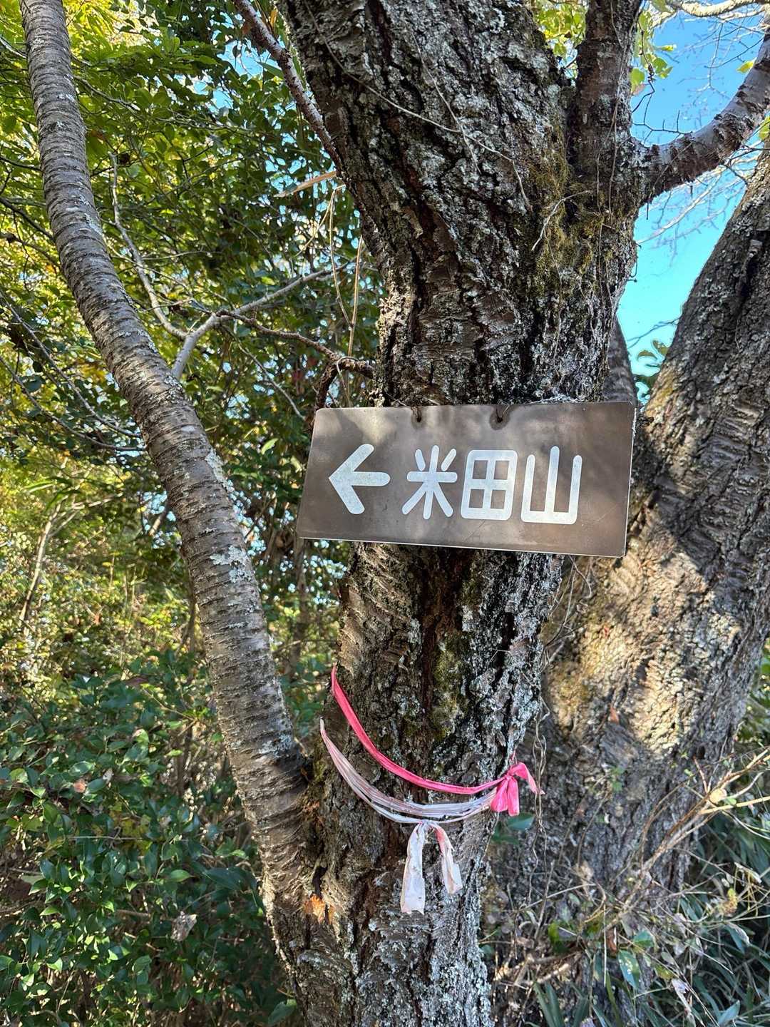 赤石バス停-大師堂-観音寺奥の院-鉢ヶ峰-大平山-米田山- 縦走コースの写真