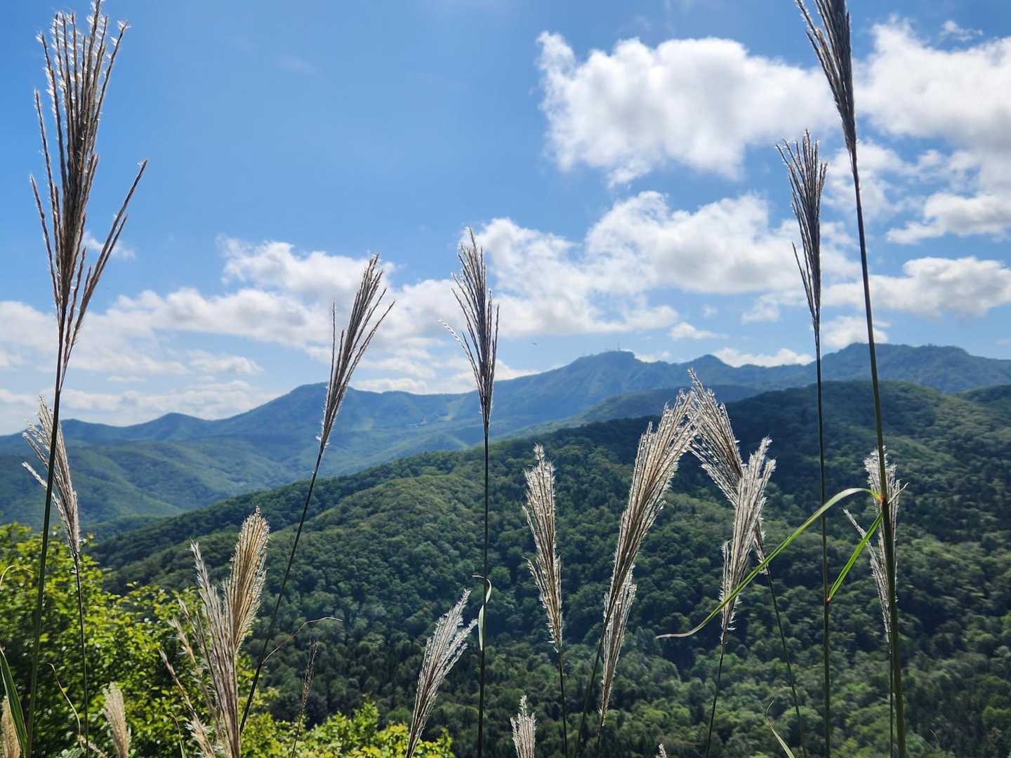 銭函天狗岳を往復｜石狩湾を一望し、充実のスパリゾートでしめる休日の写真