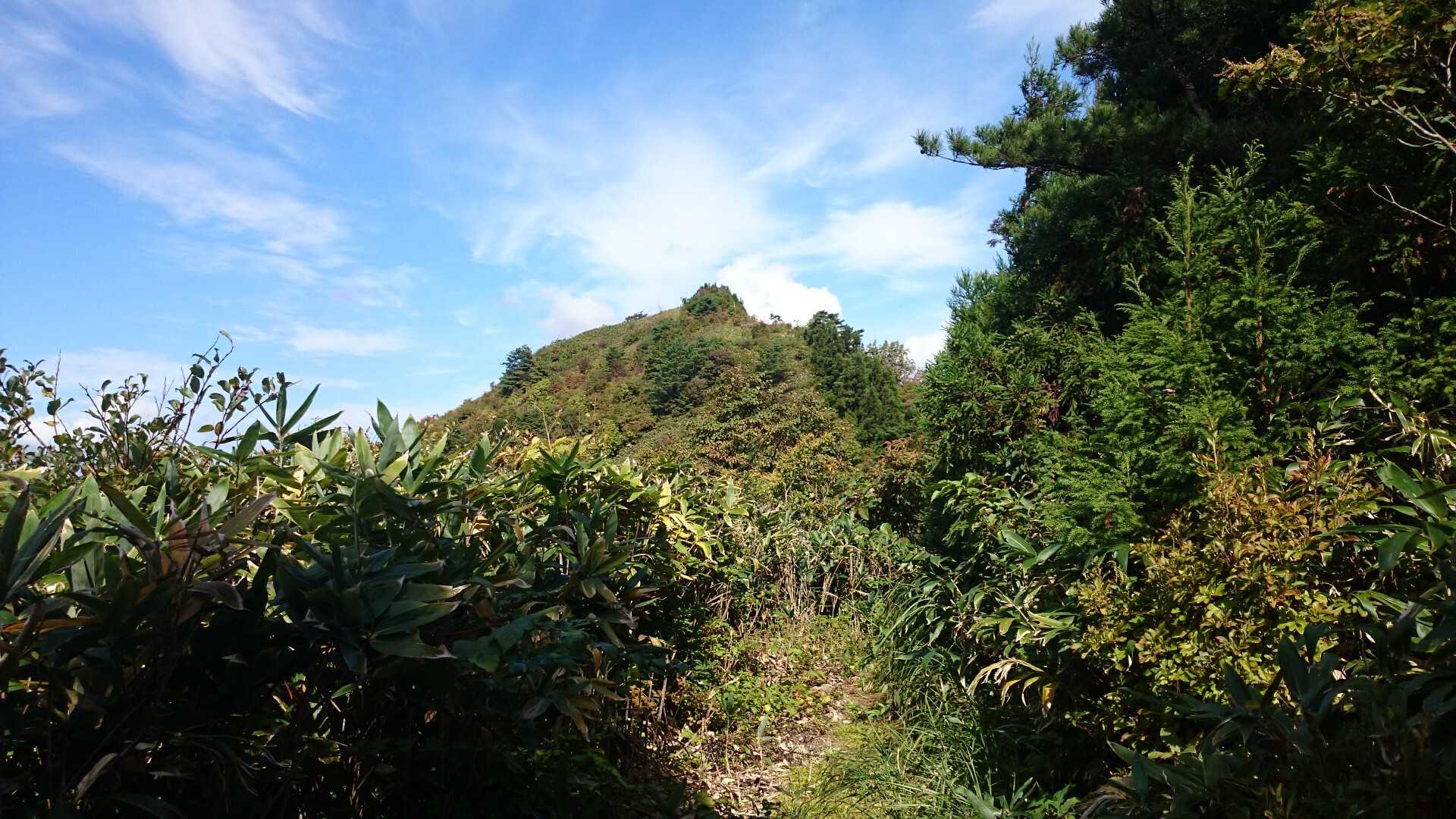 羽保屋山の写真