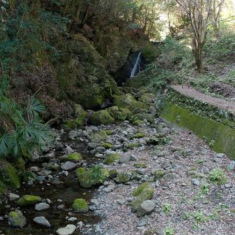 下へ降りてみた