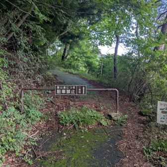 車道から再び登山道へ。ヤマビルが心配…