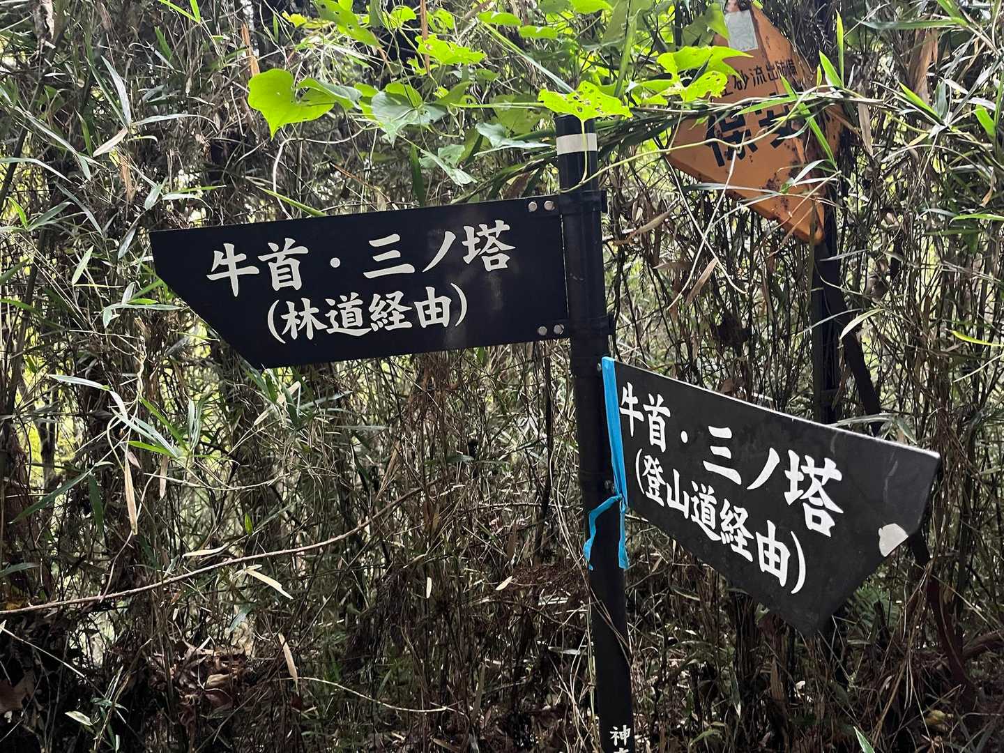 牛首へ
登山道経由だとアップダウンがあるとあろりんさんに教えていただき、体力温存のため林道歩きを選択