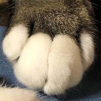 F73
