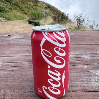 種池山荘でコーラ補給（400円）
冷えてて美味しい
水500ml（100円）も補給