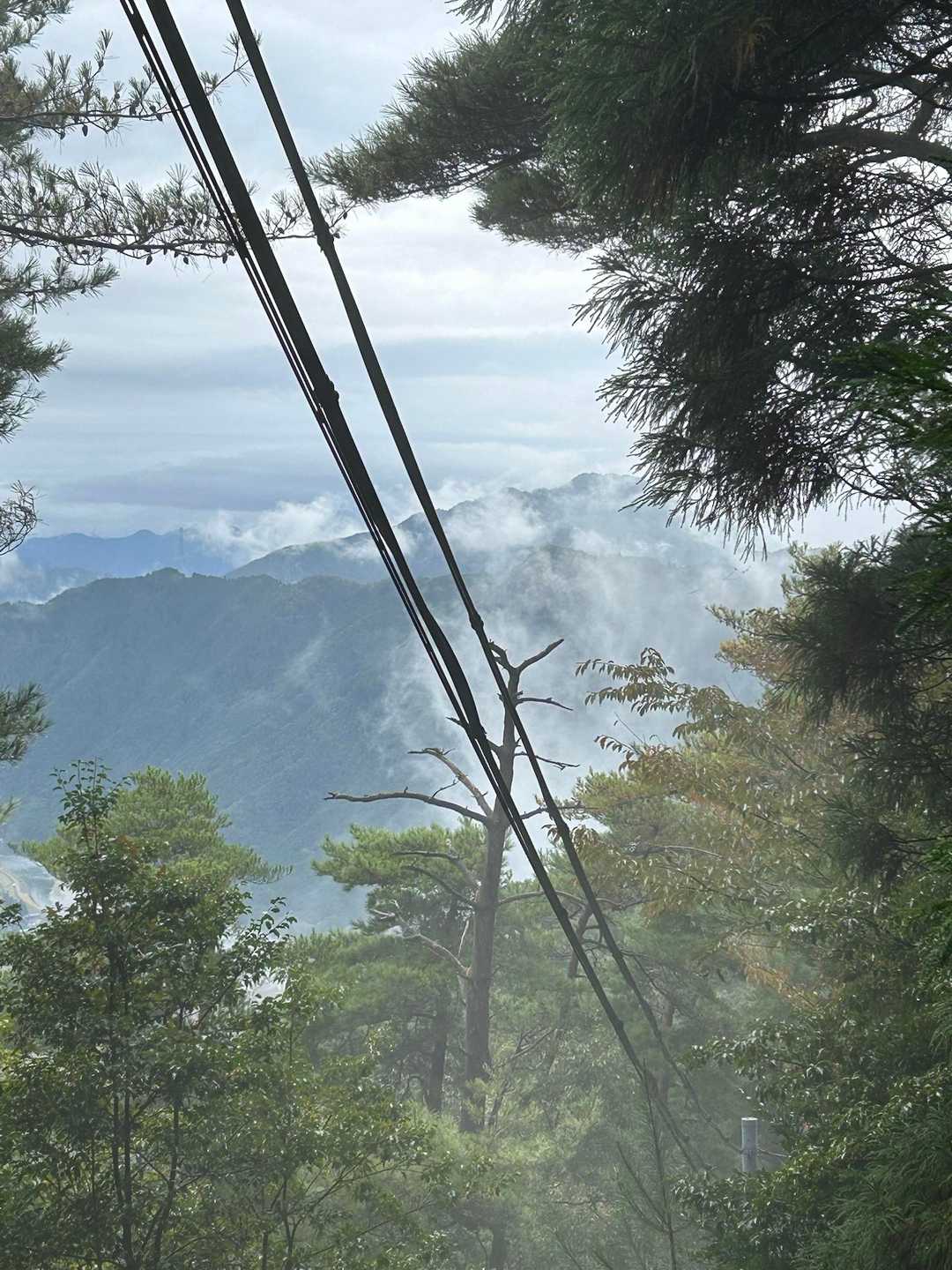 下山時の展望と
アンテナ📡のケーブル