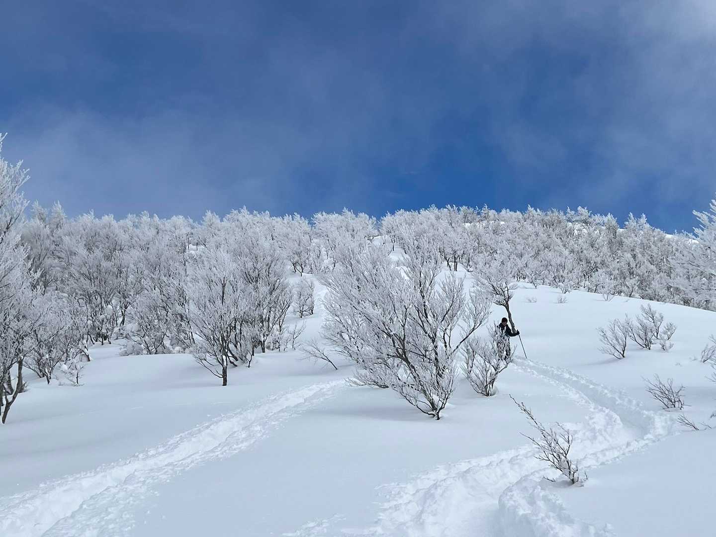 取立山 往復コースの写真