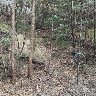 登り口はこんな所から