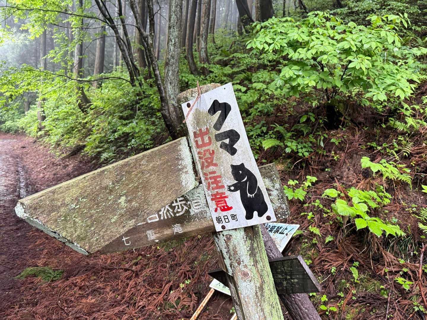 無事下山ありがとうございました😊