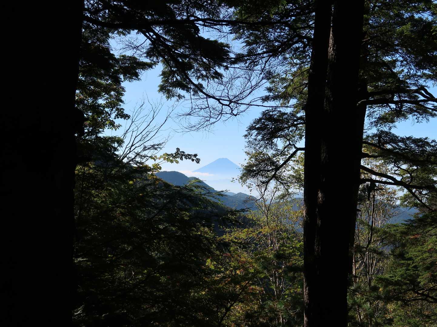 富士山がチラリ★