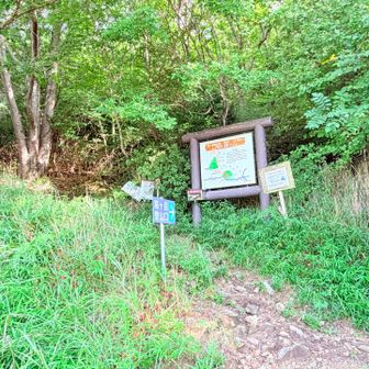 サクサク下山して登山口到着🎶