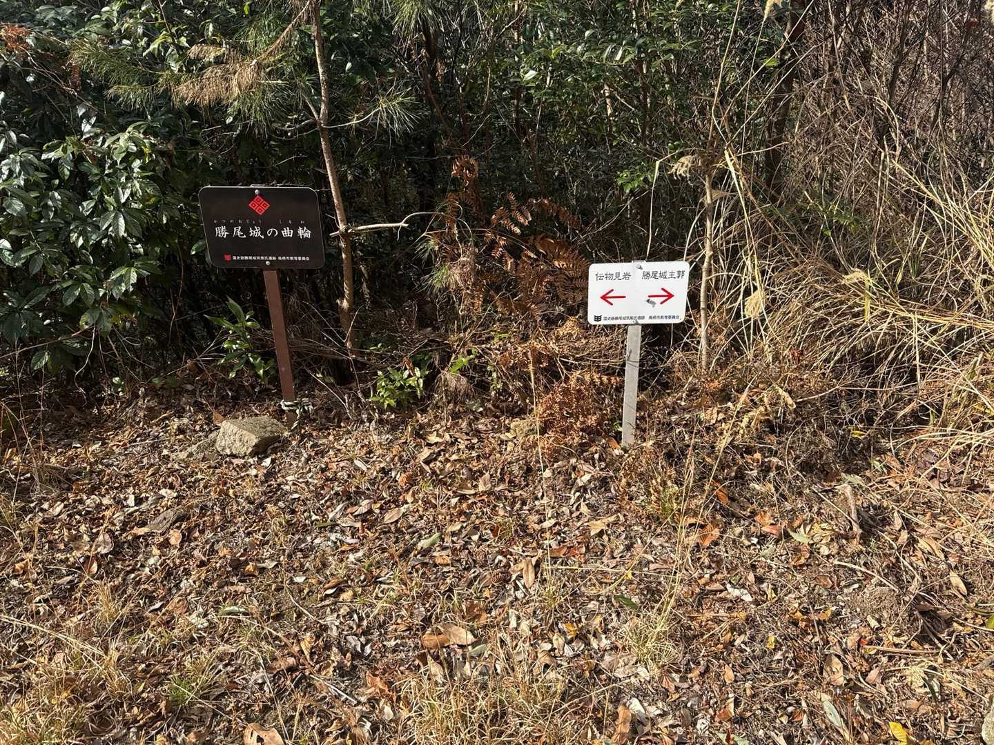 城跡からすぐに伝物見岩