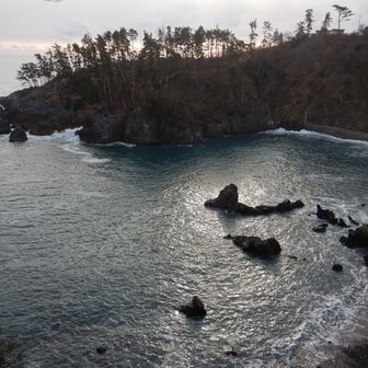 ほんと綺麗です