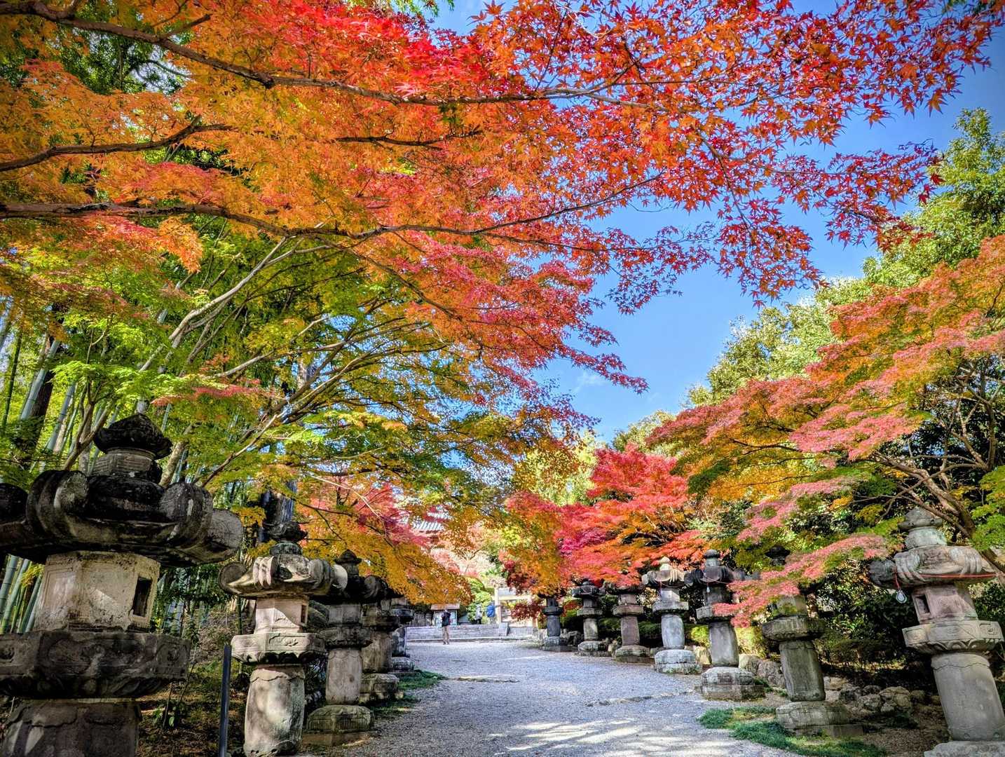 少しだけ高い山から、見える世界を変えてみる。これぞ山歩向きの低山・天覧山の写真