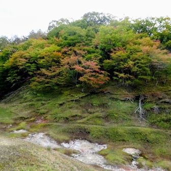 紅葉もいい感じ🍁