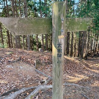 大明神山到着。