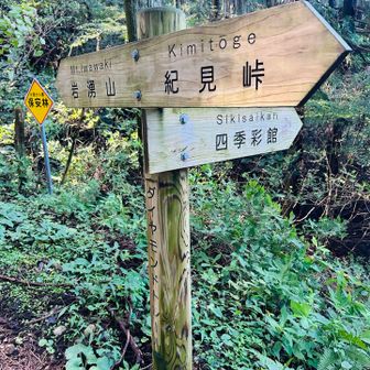 久しぶりのいわわきの道。