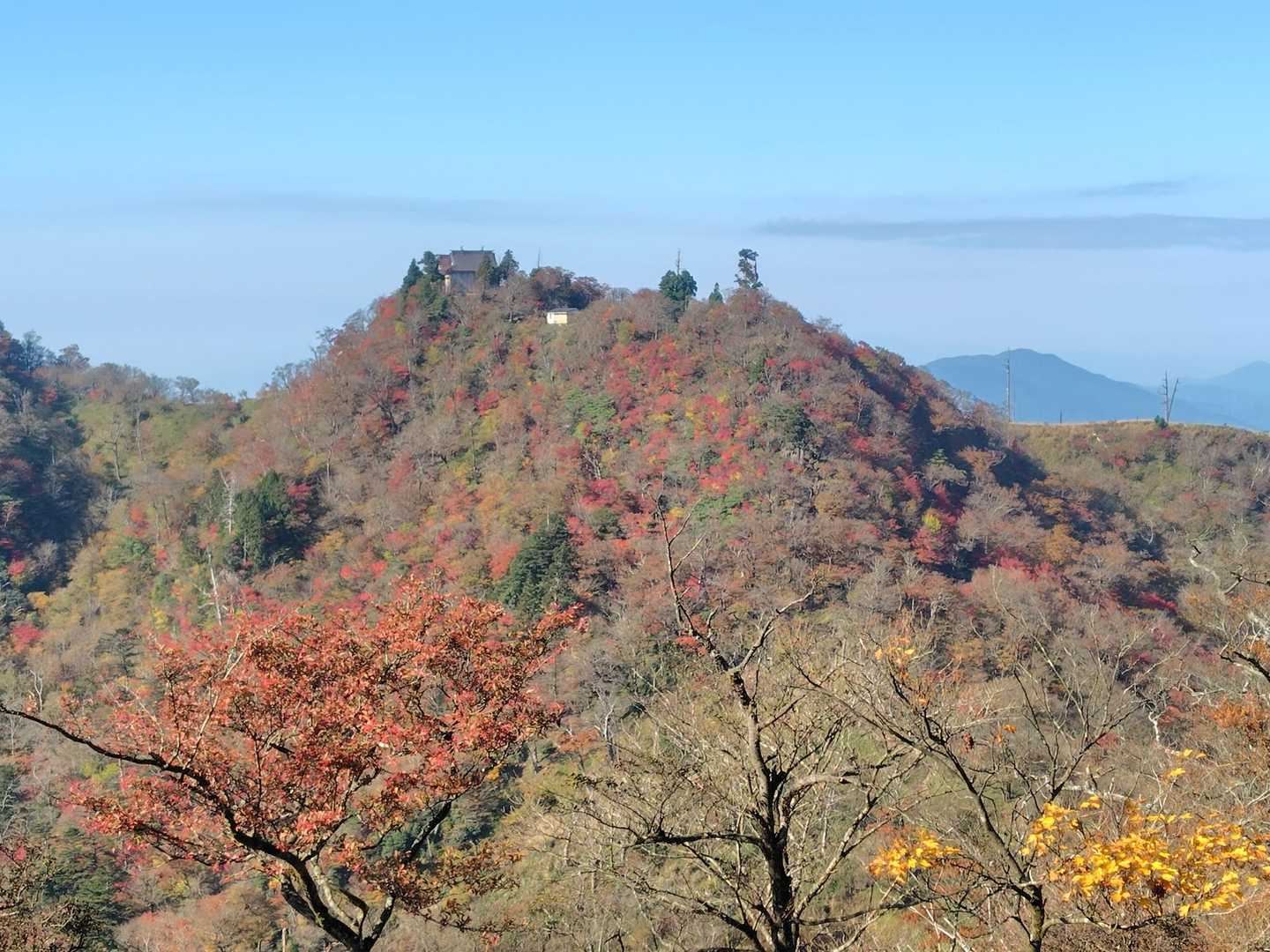 豊前坊登山口-鷹巣山登山口-薬師峠-裏英彦山道登山口-英彦 周回コースの写真