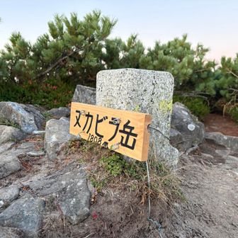ヌカビラ岳とうちゃーく！
ここまでの急登もなかなかだったけど、ここから先のアップダウンの繰り返しも、なかなか痺れます。