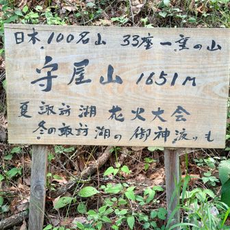 100名山のうち33座も見れるんだ！🤩