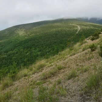 西峰に登る途中
浅間山が目前に迫る
傾斜キツめな上に
靴が沈み込む軽石質は登りにくい