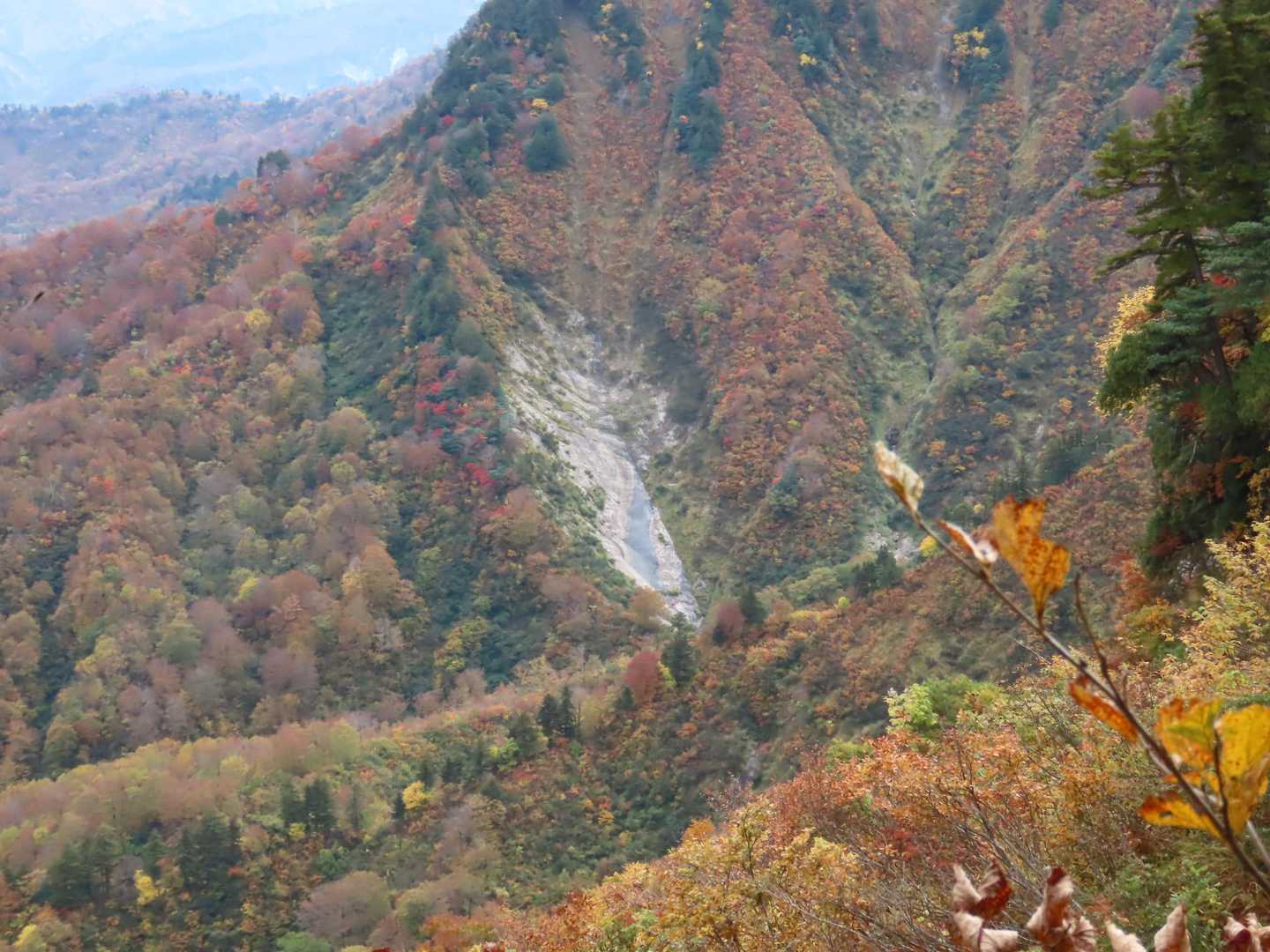 登山道右に見えた斜面が、