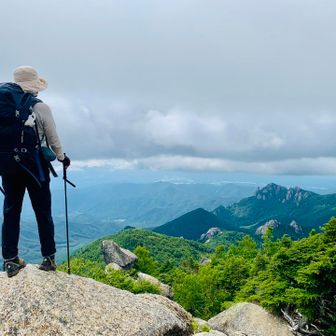 登って来た瑞牆山を金峰山側からのぞむ