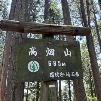 高畑山着いたー♪