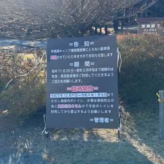 この時期だけ本栖湖キャンプ場の駐車場が臨時で開放してます。