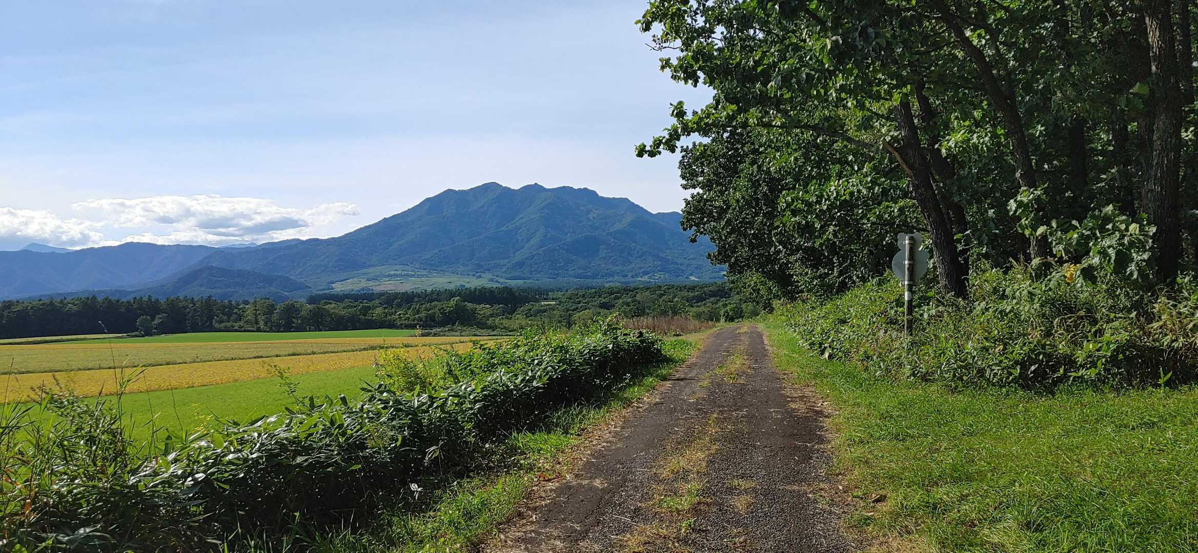 林道を歩きました
劔の峰