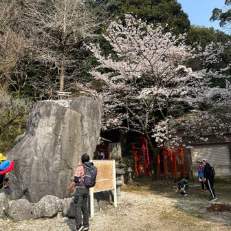 石を鳥居に潜らせる