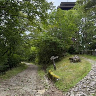 登山口。
