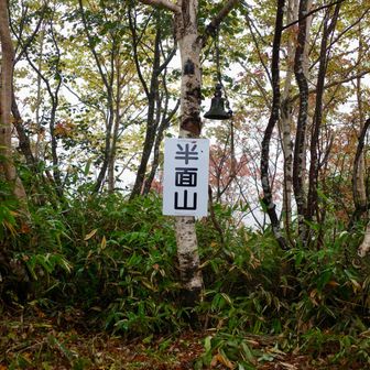 半面山に到着。山と高原地図によるとこの先ヒグマの目撃が多いと書いてあるので、鐘を鳴らして前進。