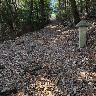登山道の始まり。