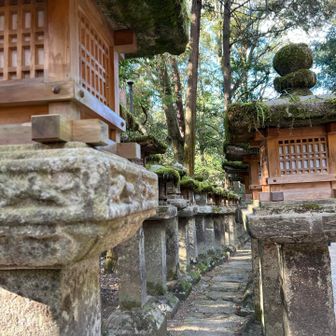 春日大社まで戻って来ました⛩️
“Kasuga Taisha Shrine☕︎
　　　欧米かっ👋