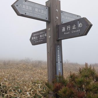 ←蝶々深山方面へ
