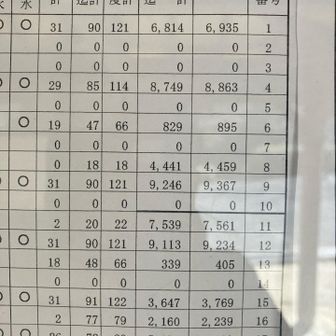 毎日登山ですね！