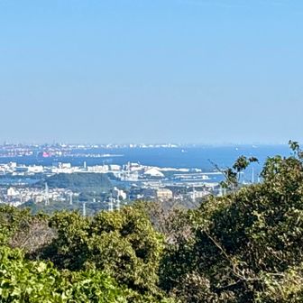 海沿いの眺め
八景島など