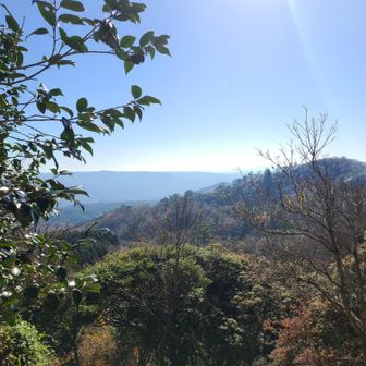 風もなく、ホンマにええお天気だわ☀💙