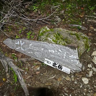 ここから北岳⁉️
かなりの体力が必要でしょう💦
